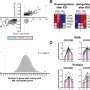 Network Analysis Provides An Integrated View Of Multiple Sclerosis