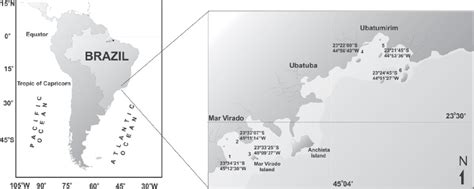 -Ubatuba region, indicating the sampling areas. | Download Scientific Diagram