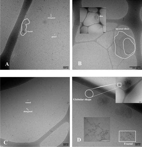 Cryo-TEM images prior to blotting at 10-fold dilution (∼1 mg/mL) of... | Download Scientific Diagram