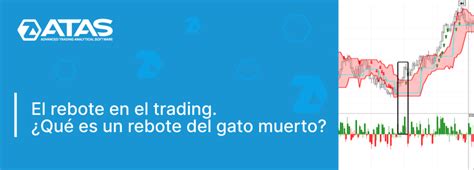 El Rebote En El Trading Qu Es Un Rebote Del Gato Muerto