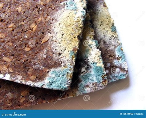 Mouldy Bread Stock Photo | CartoonDealer.com #34017012