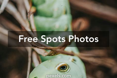 amazing spots  pexels  stock