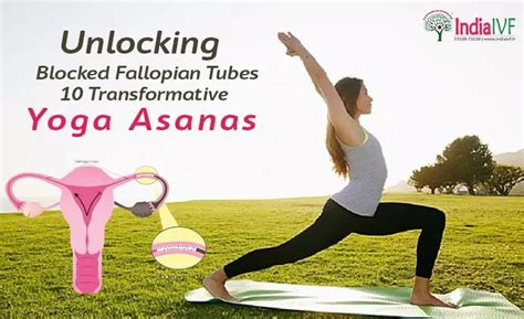 Unlocking Blocked Fallopian Tubes 10 Transformative Yoga Asanas India Ivf Fertility