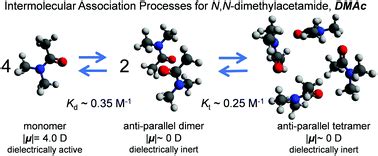 Anti Parallel Dimer And Tetramer Formation Of Cyclic And Open Structure