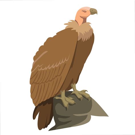 Vulture Clipart Etc