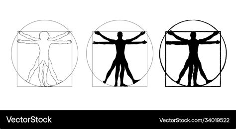 Vitruvian Man Leonardo Da Vinci Royalty Free Vector Image