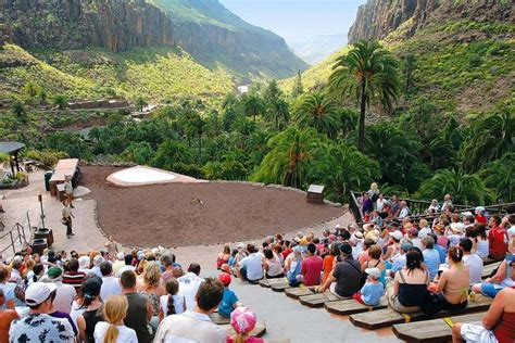 Gran Canaria: Admission Tickets for Palmitos Park | GetYourGuide