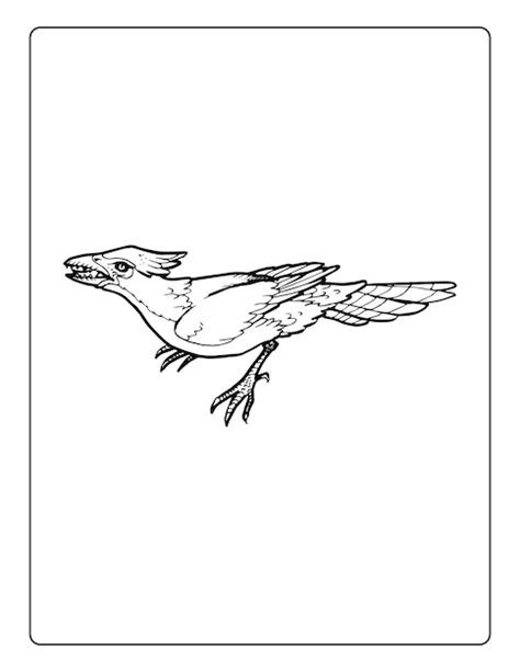 Pages De Coloriage De Dinosaures Pour Les Enfants Avec Différents Types