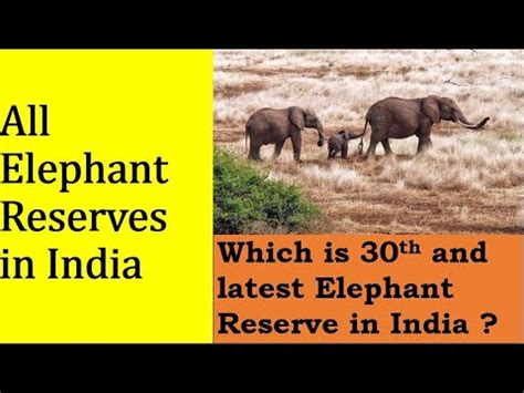 Complete List Of Elephant Reserves In India With EasyTricks To