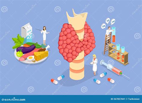 D Ilustraci N Conceptual Vectorial Plana Isom Trica Del Hipotiroidismo