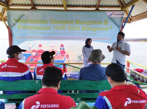 Pertamina Ru V Lakukan Penamanam Bibit Mangrove Di Teluk