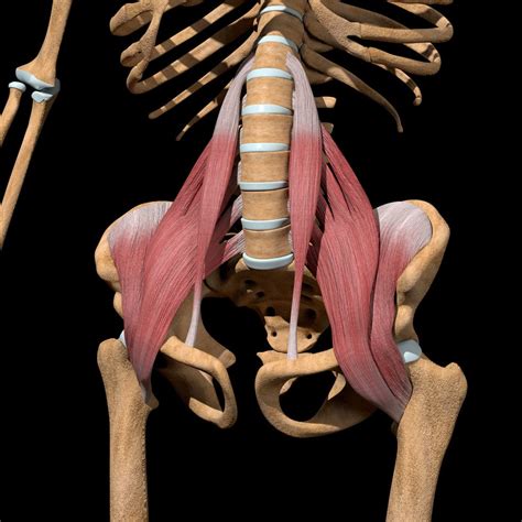 Hip flexor strain: Everything you need to know