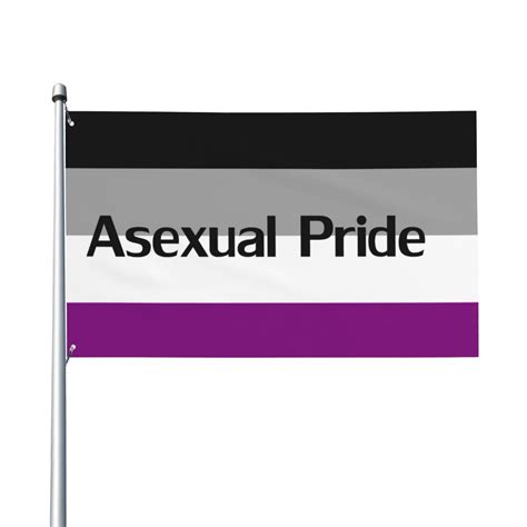 Asexual Pride Flag Garden Flag Welcome Flag Courtyard Party Slogan Outdoor Decoration Flags