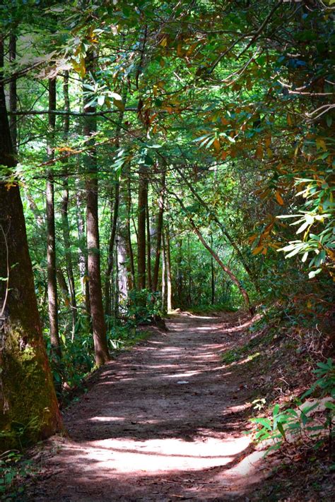 Red River Gorge Hiking Trail Photo Print Kentucky Nature | Etsy | Landscape photos, Red river ...