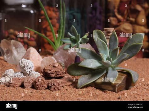 Desert Rose Rocks With Quartz Crystals On Australian Red Sand