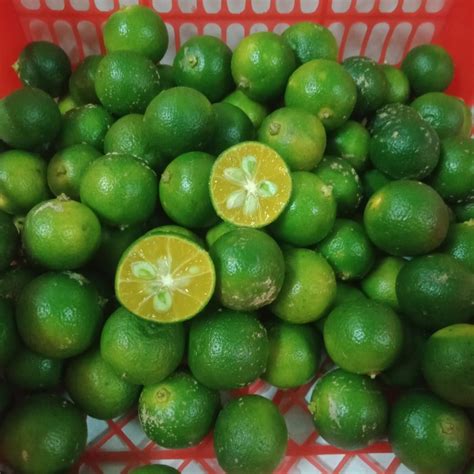 Jual Jeruk Sonkit Kalamansi Kasturi Kunci Lemon Cui Shopee