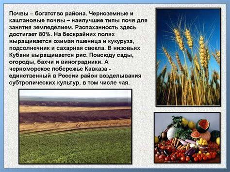 Кавказ. Рельеф Кавказа. (8 класс) - презентация онлайн