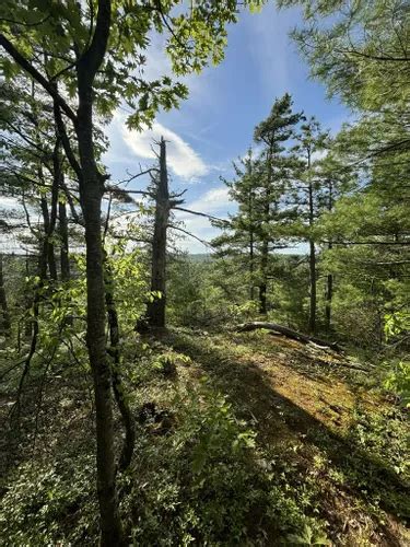 Best Views Trails In Calabogie Alltrails