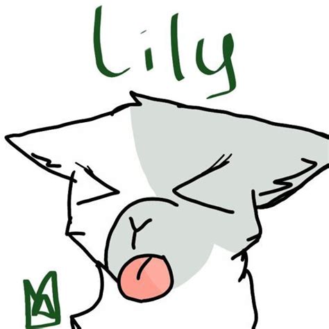 Lily Wiki Warriors Amino