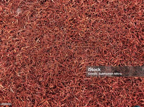 Latar Belakang Tekstur Rumput Hijau Tampilan Atas Taman Rumput Konsep