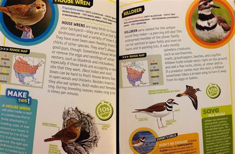 Where Were These Kids Field Guides When I Was A Kid Geekdad