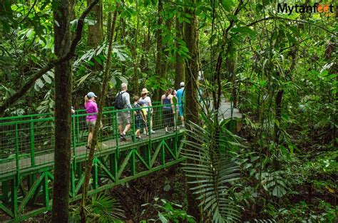 Mistico Arenal Hanging Bridges: Experience the Rainforest