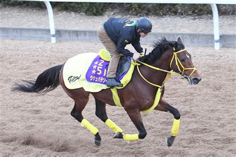 ウシュバテソーロが帰厩 サウジカップから連覇狙うドバイワールドカップに転戦へ 競馬ニュース・特集なら東スポ競馬