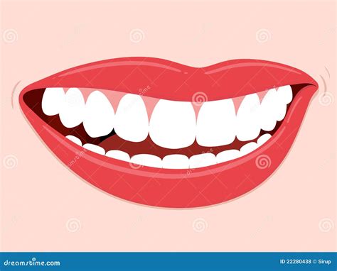 Smiling Mouth Healthy Teeth Stock Vector Illustration Of Dentistry