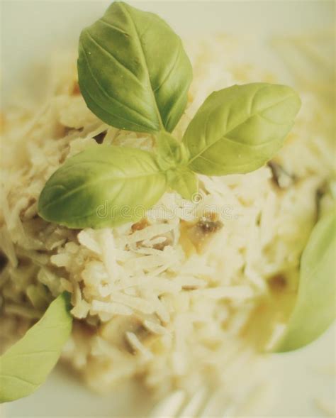 Receta Del Risotto De La Seta Foto De Archivo Imagen De Cocina Verde