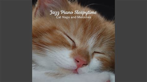 Jazz Piano Sleepytime - YouTube