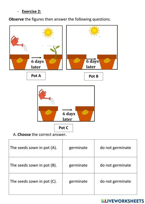 Seeds Germination 917989 Halamasri Live Worksheets