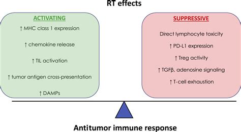 Contemporary And Emerging Approaches To Bladder Preserving Trimodality