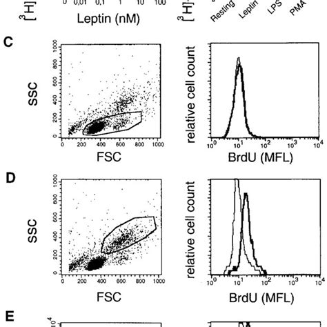 Two Color Immunofluorescence Analysis Of Human PBMC Stained With