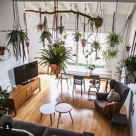 Hanging Plants From The Ceiling Adds The Height When Your Trying To