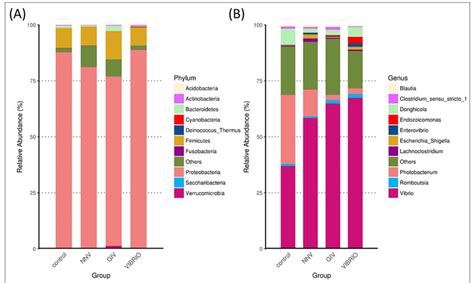 Species Abundance Distribution Displayed The Top Ten Most Abundant At