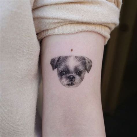 Sol Tattoo Studio En Instagram Kimrias Pet Tattoos