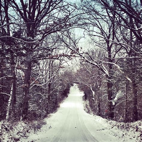 Premium Photo Snow Covered Road Amidst Bare Trees In Forest