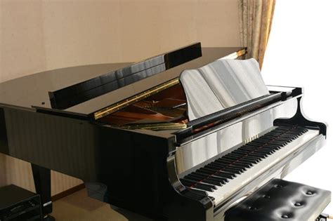 How Much Does A Grand Piano Cost Musical Instrument Pro