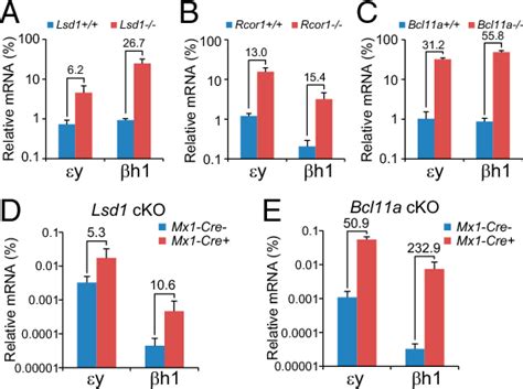 Figure From Corepressor Dependent Silencing Of Fetal Hemoglobin