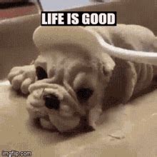 Life Could Be Sweet GIF - Life Could Be Sweet - Discover & Share GIFs