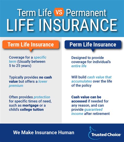 Term Life Insurance Facts Coverage Cost And More Trusted Choice