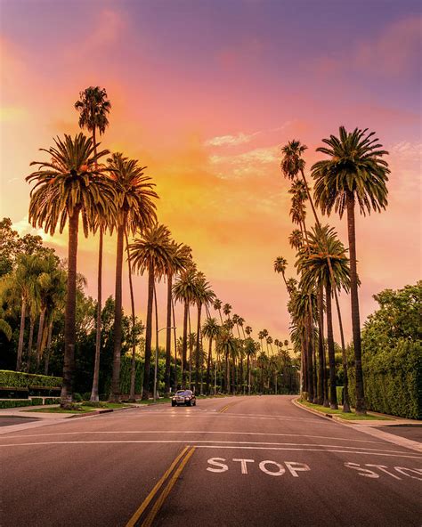 List 93 Pictures Images Of Beverly Hills California Updated