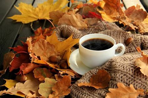 Pin By Claudia Fe On Halloween Fall Autumn Food Autumn Coffee