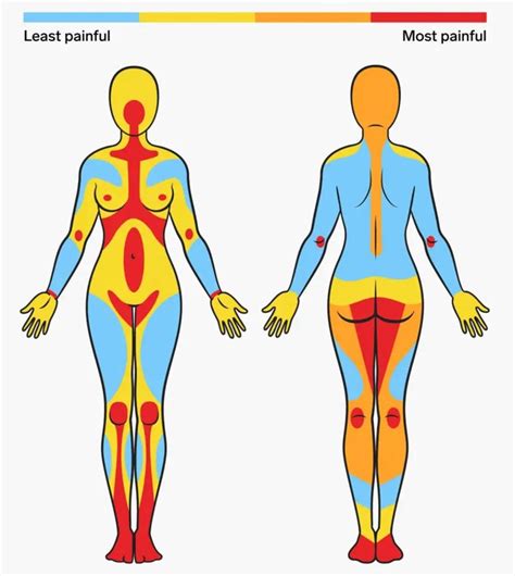 Qual A Parte Mais Sensivel Do Corpo Humano Braincp