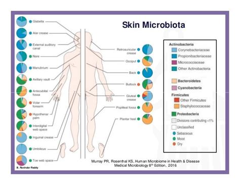 Human Microbiome An Evolving Clinical Frontier