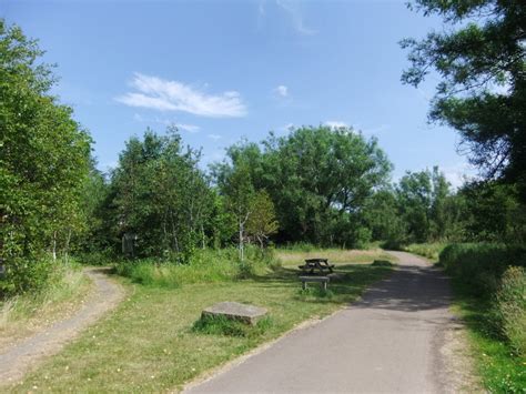 Photographs Of Newcastle Derwent Walk Country Park