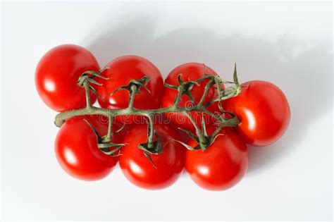 Tomate Cereja Sobre Tomate De Cereja Tronco Sobre Fundo Branco Imagem