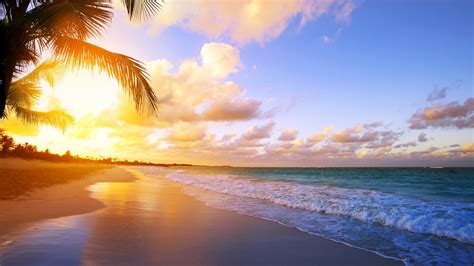 Free Photo Tropical Beach Activity Beach Human Free Download