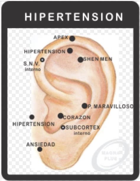 Pin De Gero En Auriculoterapia En Acupuntura Para Adelgazar