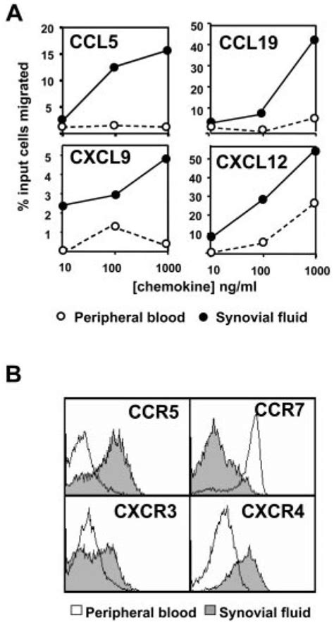 Ccr5 Ccr7 Cxcr3 And Cxcr4 Receptors On Cd4 Cd45ra − T Cells Are